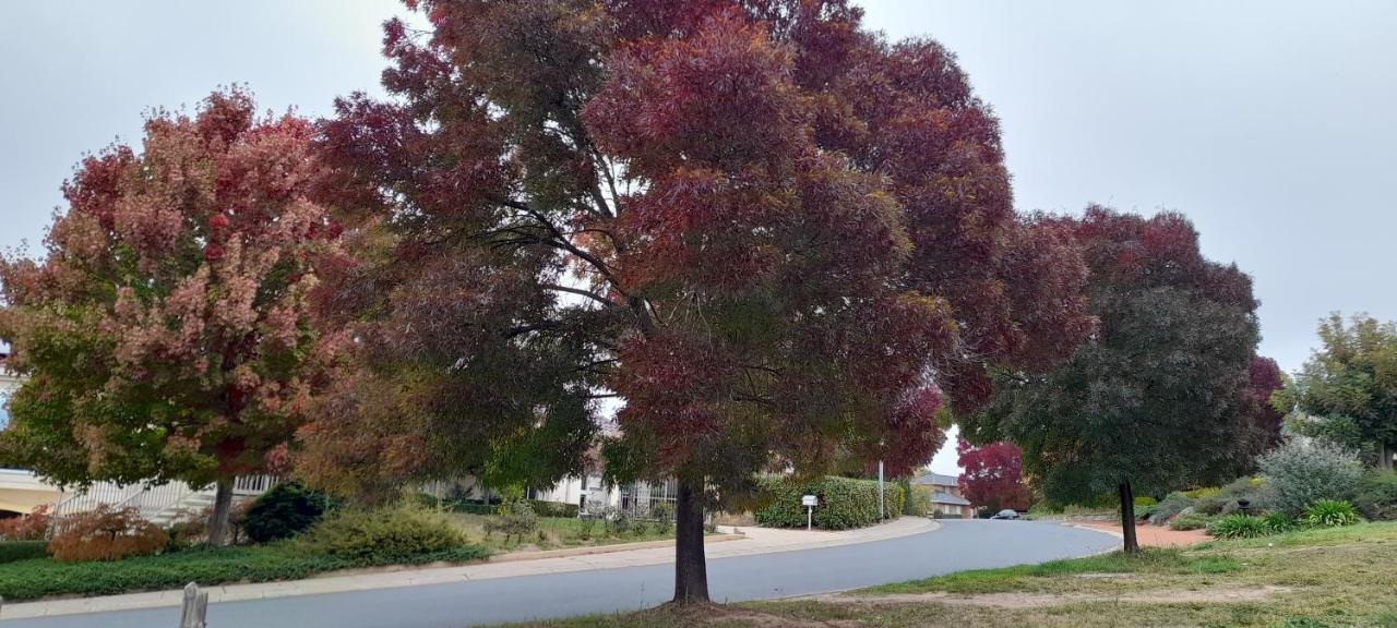 Sweet Holiday Home By The Golf Course Canberra Exteriör bild